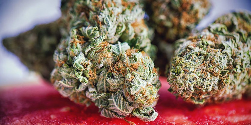 God Og -Indica — The Townhouse Uptown