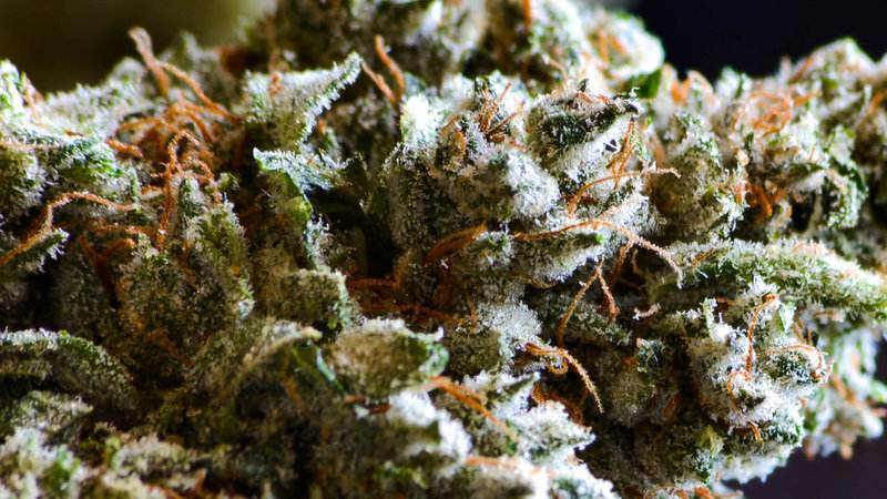 Bubba Kush -Indica — The Townhouse Uptown