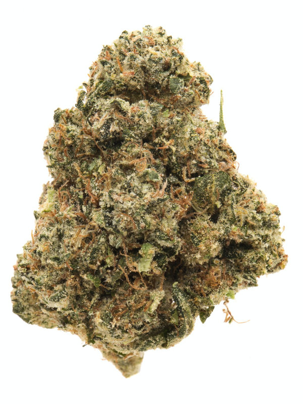 Jack the Ripper -Hybrid — The Townhouse Uptown