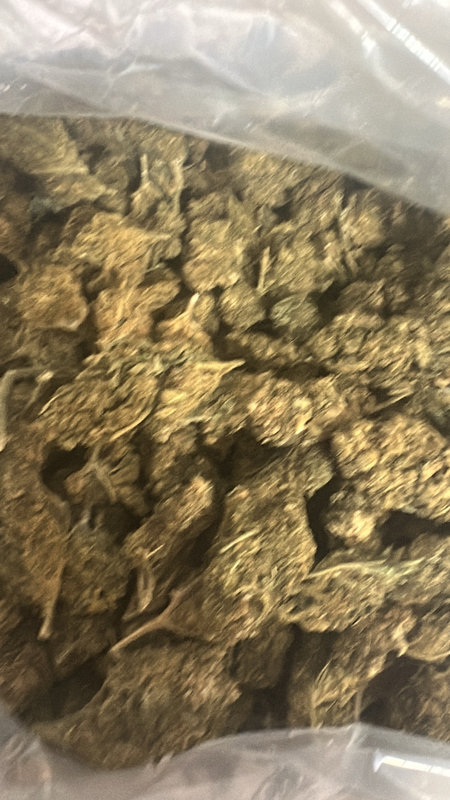 $600 lb closeout Blue Dream — The Townhouse Uptown