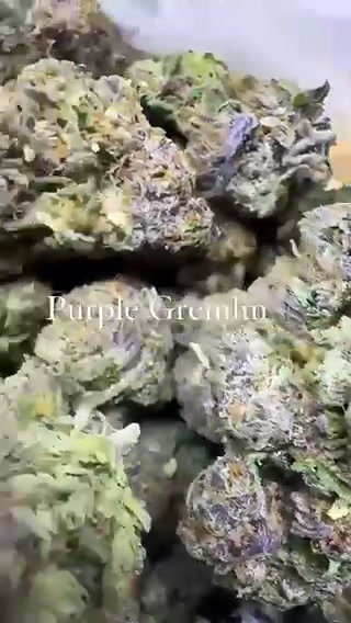 Purple Gremlin — The Townhouse Uptown