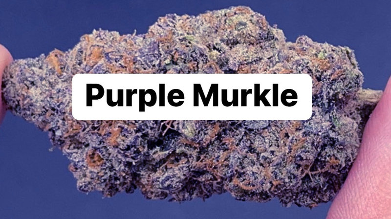 Purple Murkle — The Townhouse Uptown