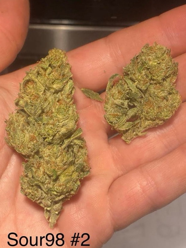 Sour 98 — The Townhouse Uptown