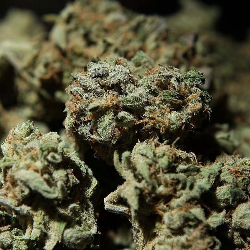 GG14-Indica — The Townhouse Uptown