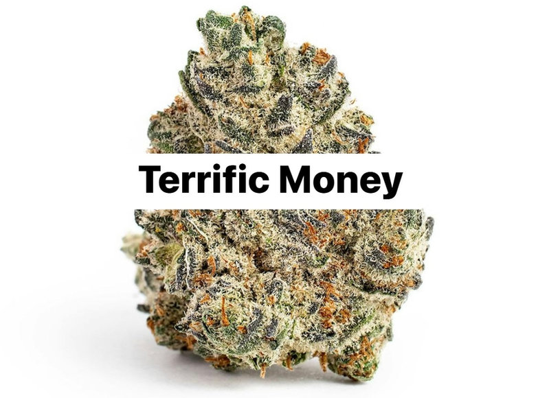 Terrific Money — The Townhouse Uptown