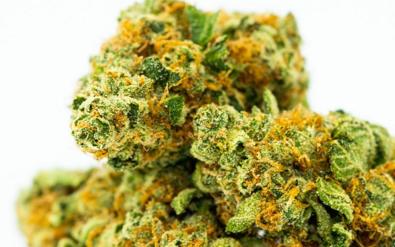 Lemon Kush -Hybrid — The Townhouse Uptown
