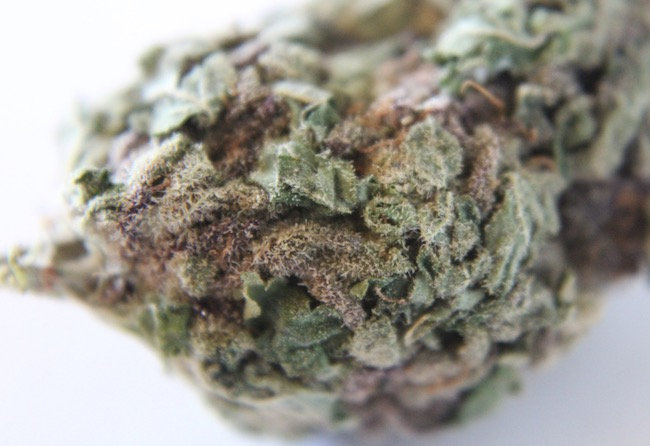 Silver Haze -Sativa — The Townhouse Uptown